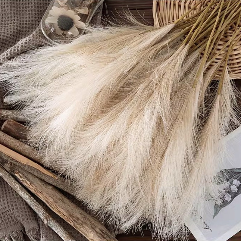 Pampas Grass Decor - 5 pezzi/set di fiori artificiali, erba