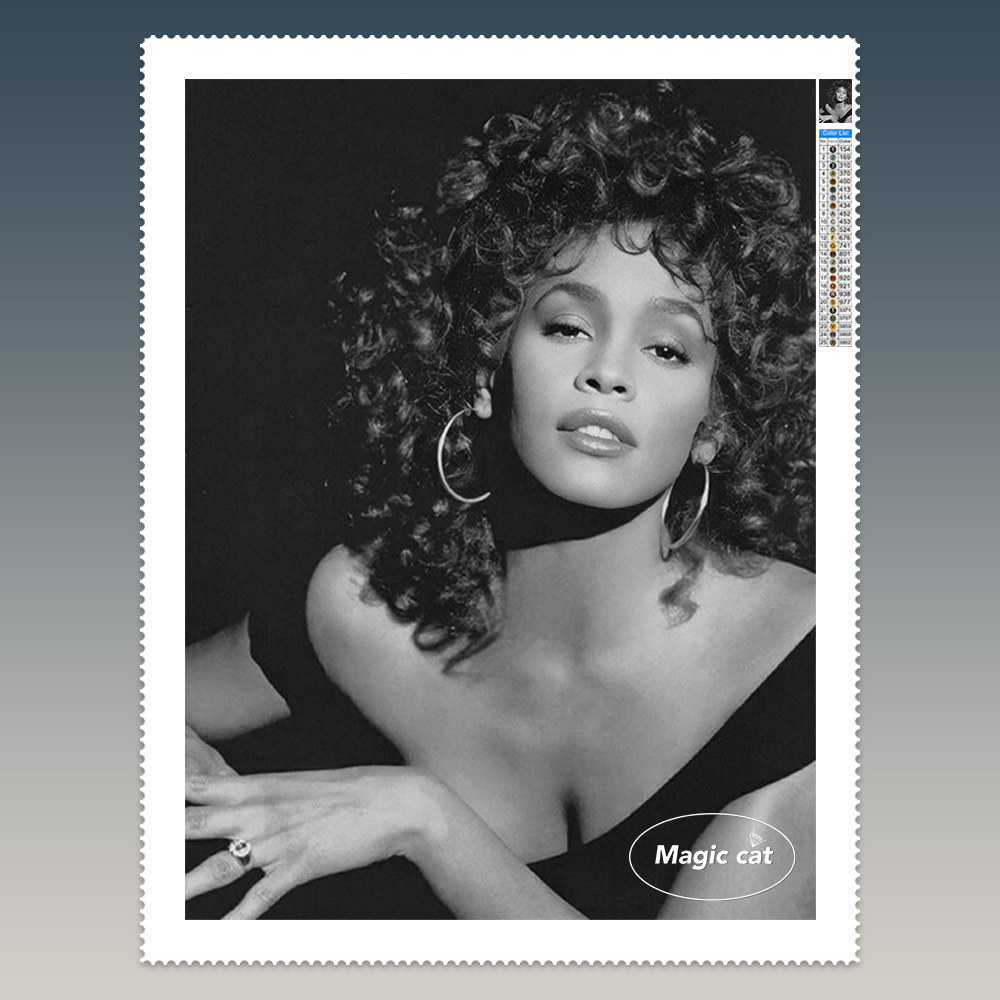 Home Decor Houston - W-whitney H-houston Pittura diamante 5D Cantante