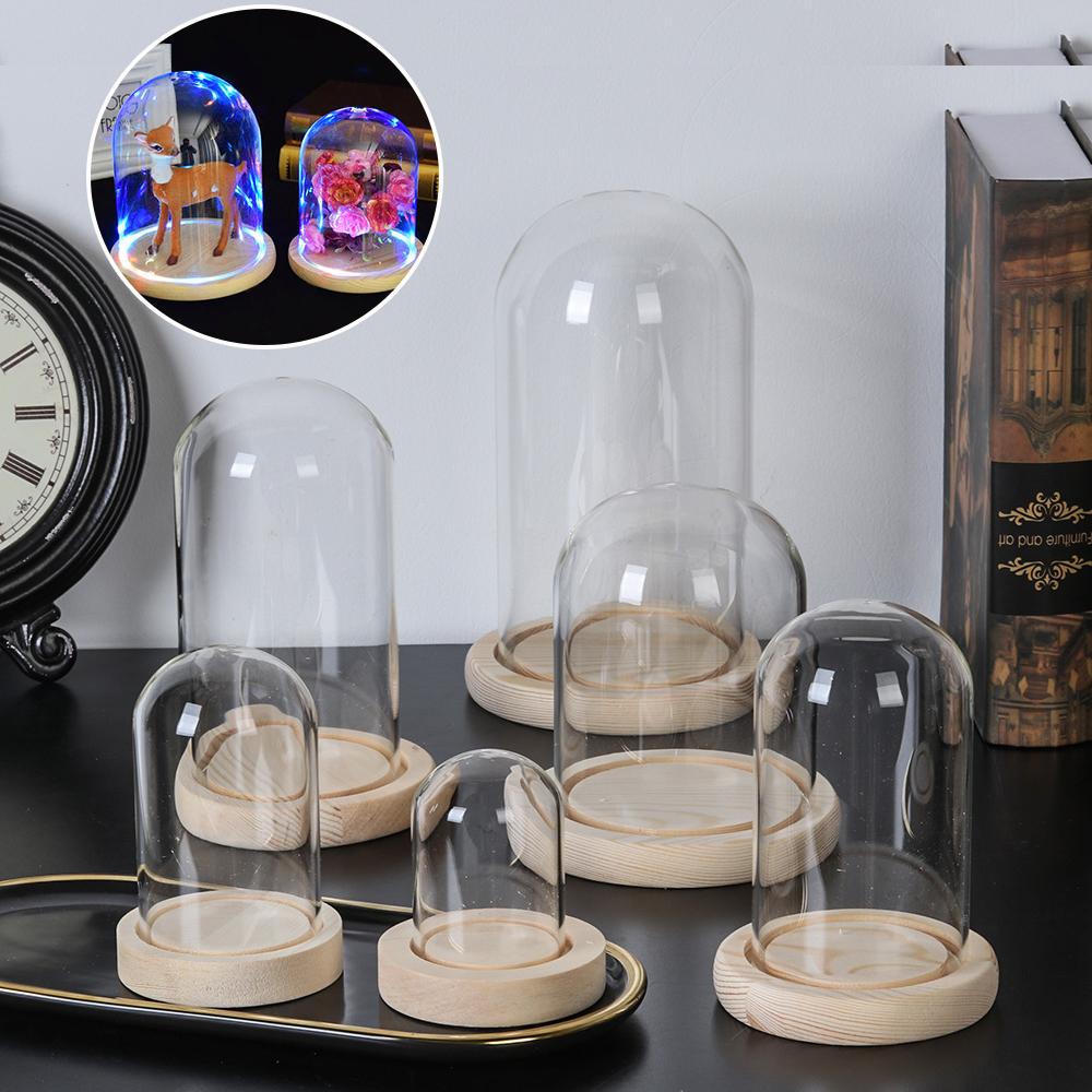 Home Decor Glass - Vaso in vetro per piante da
