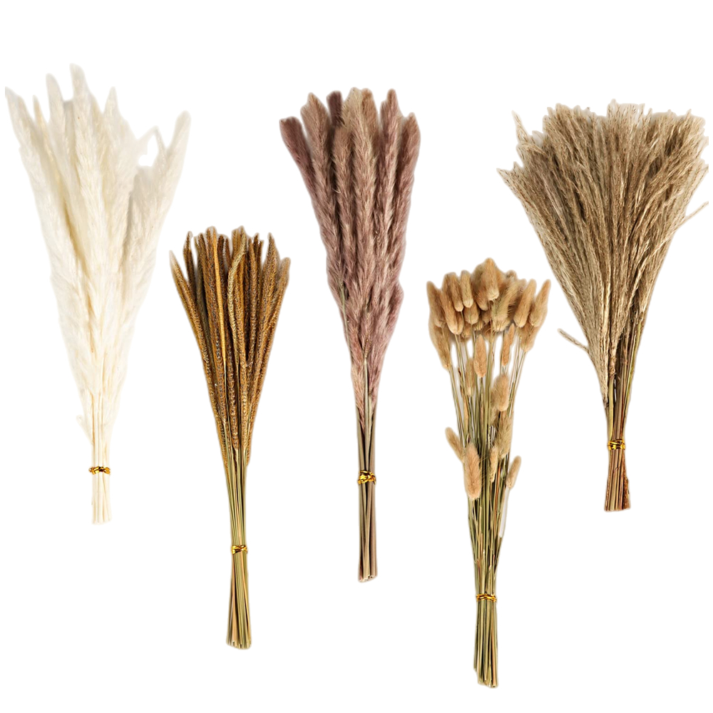 Pampas Grass Decor - Bouquet di Fiori Secchi Misti Vintage