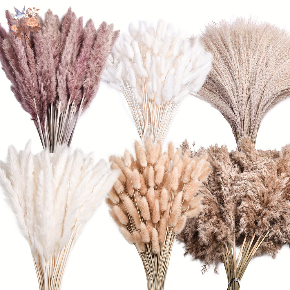 Pampas Grass Decor - 320 Pezzi di Fiori Secchi Misti: