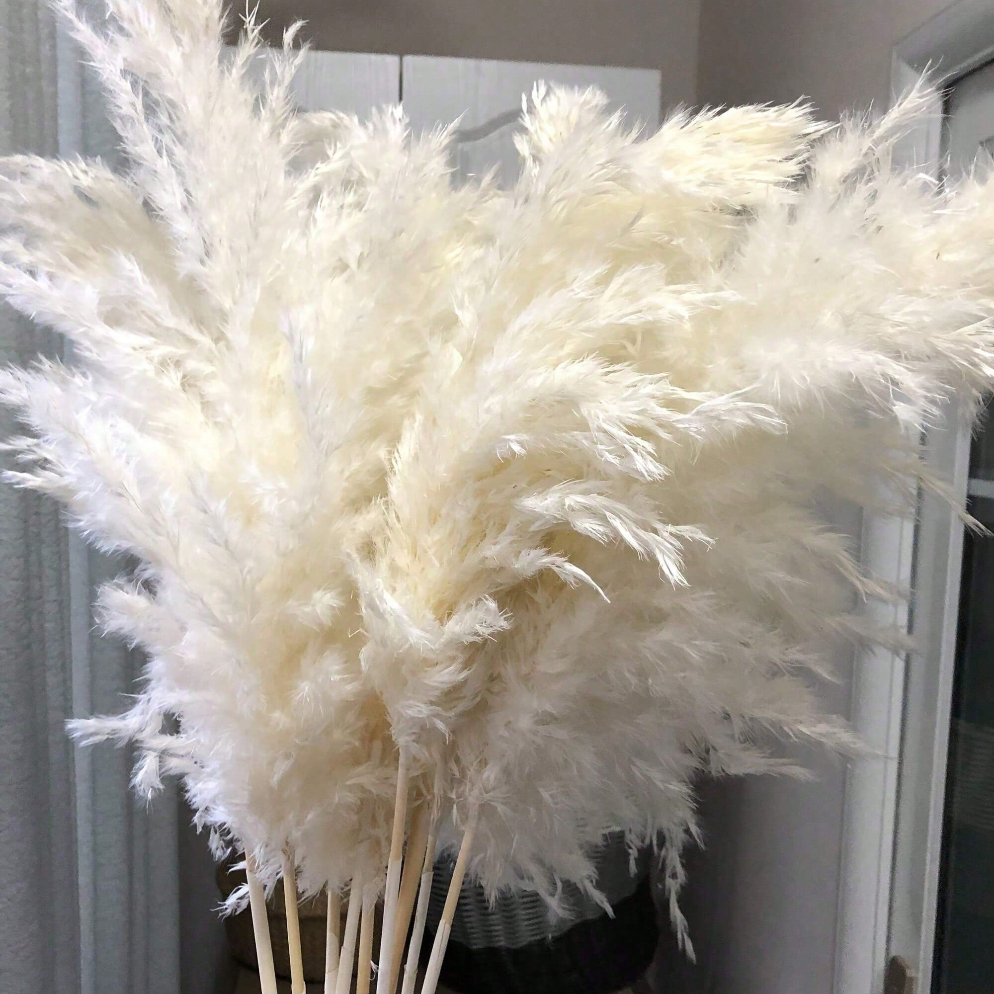 Pampas Grass Decor - 10/20/30 pezzi di erba di pampa