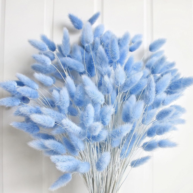Pampas Grass Decor - 100 pezzi blu coda di lepre