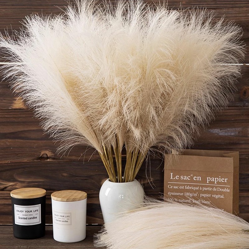 5 pezzi/set di fiori artificia - Pampas Grass Decor recensione e prezzo