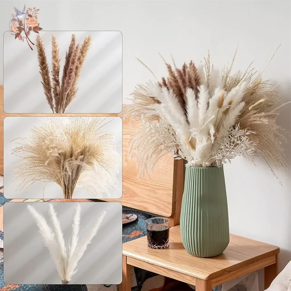 88 Pezzi di Erba della Pampa N - Pampas Grass Decor recensione e prezzo