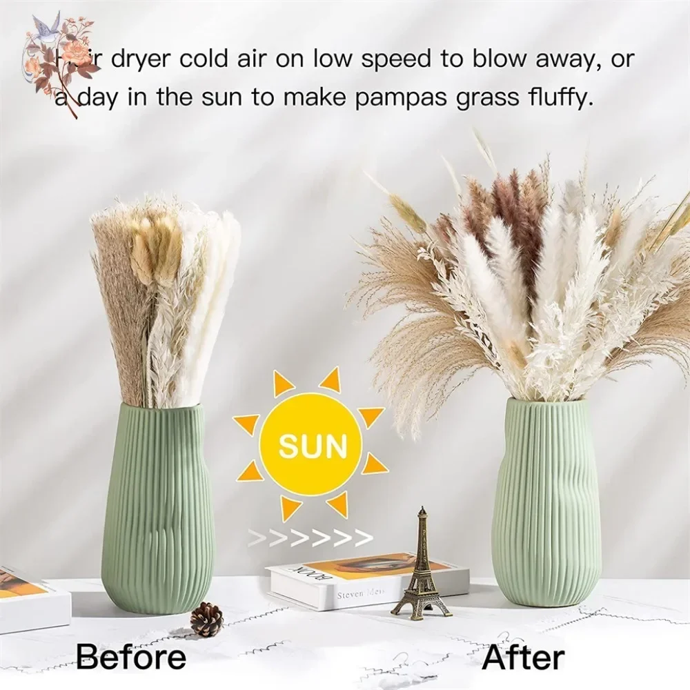 88 Pezzi di Erba della Pampa N - Pampas Grass Decor recensione e prezzo