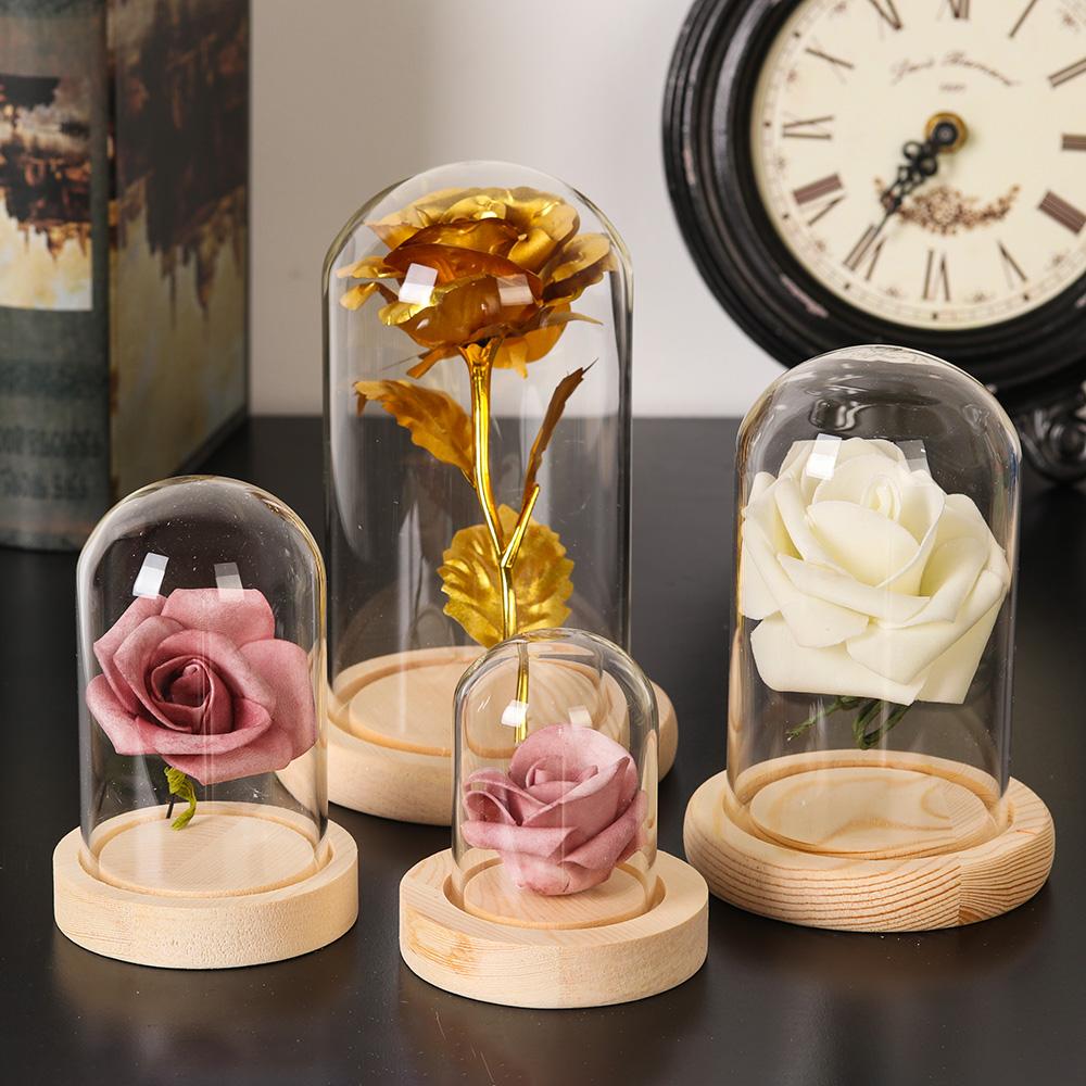 Vaso in vetro per piante da de - Home Decor Glass recensione e prezzo
