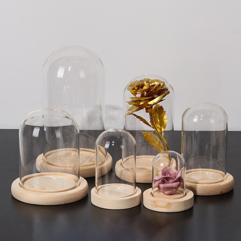 Vaso in vetro per piante da de - Home Decor Glass recensione e prezzo