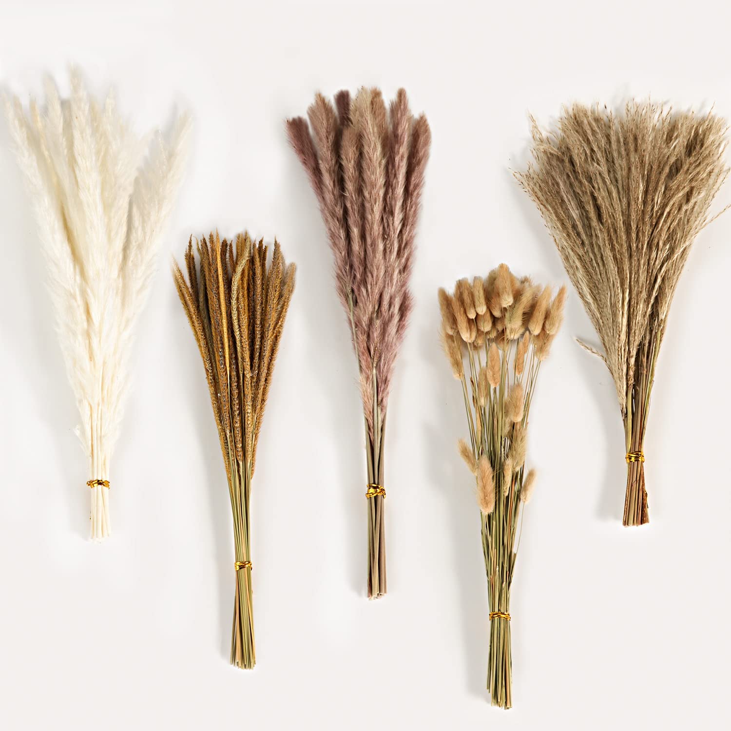 Bouquet di Fiori Secchi Misti  - Pampas Grass Decor recensione e prezzo