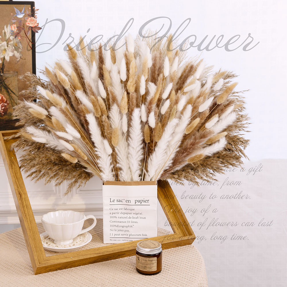 320 Pezzi di Fiori Secchi Mist - Pampas Grass Decor recensione e prezzo