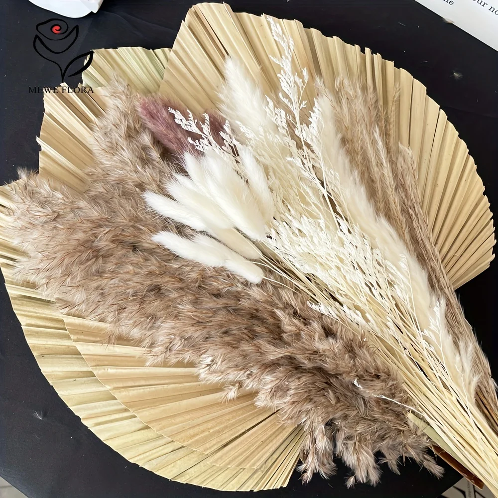 35 pezzi di erba di pampa natu - Pampas Grass Decor recensione e prezzo