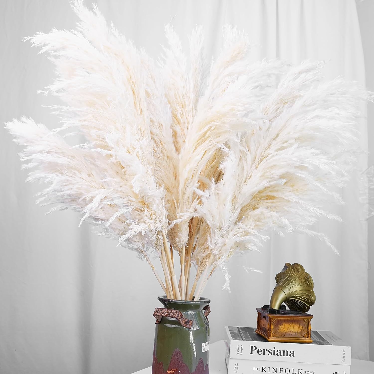 30 Pezzi di Erba della Pampa B - Pampas Grass Decor recensione e prezzo