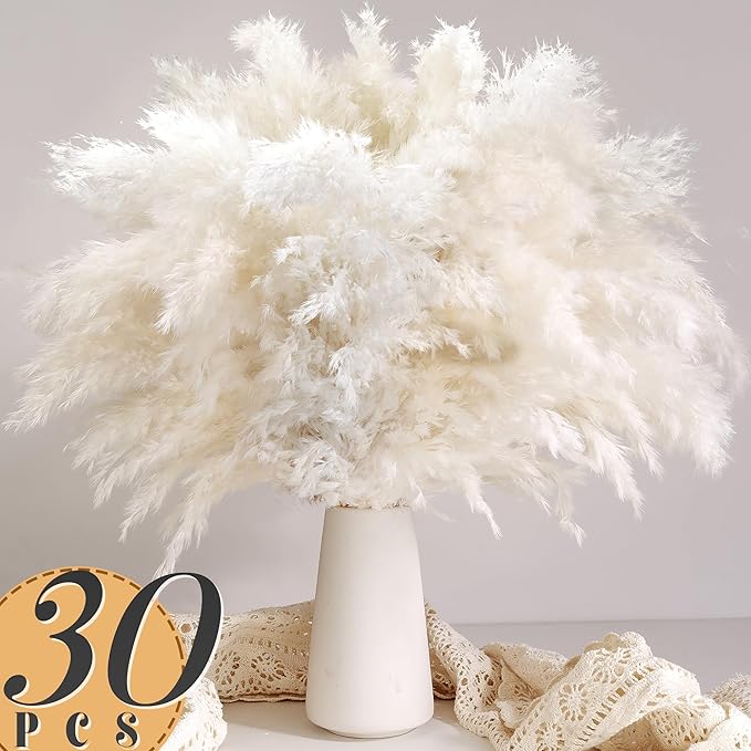 30 Pezzi di Erba della Pampa B - Pampas Grass Decor recensione e prezzo