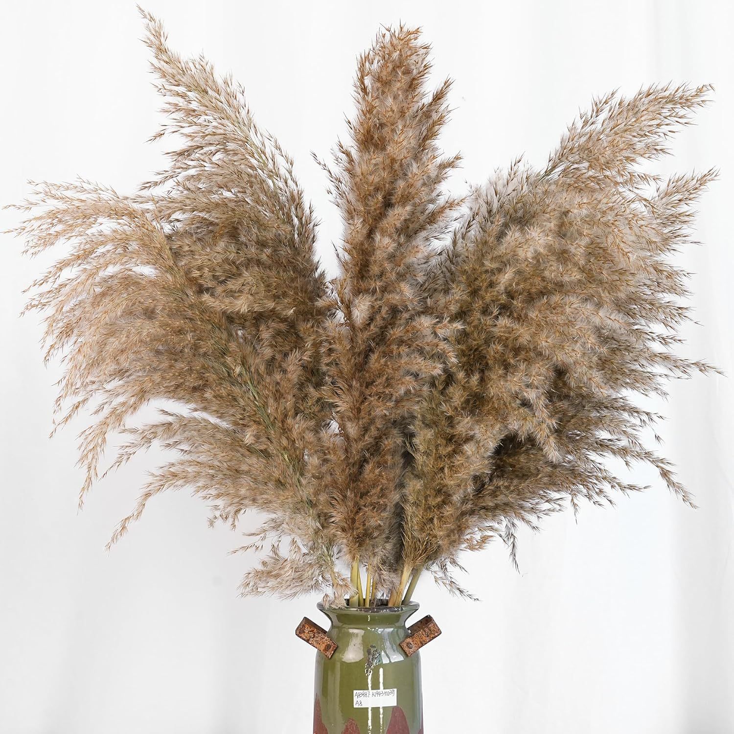 30 Pezzi di Erba della Pampa B - Pampas Grass Decor recensione e prezzo