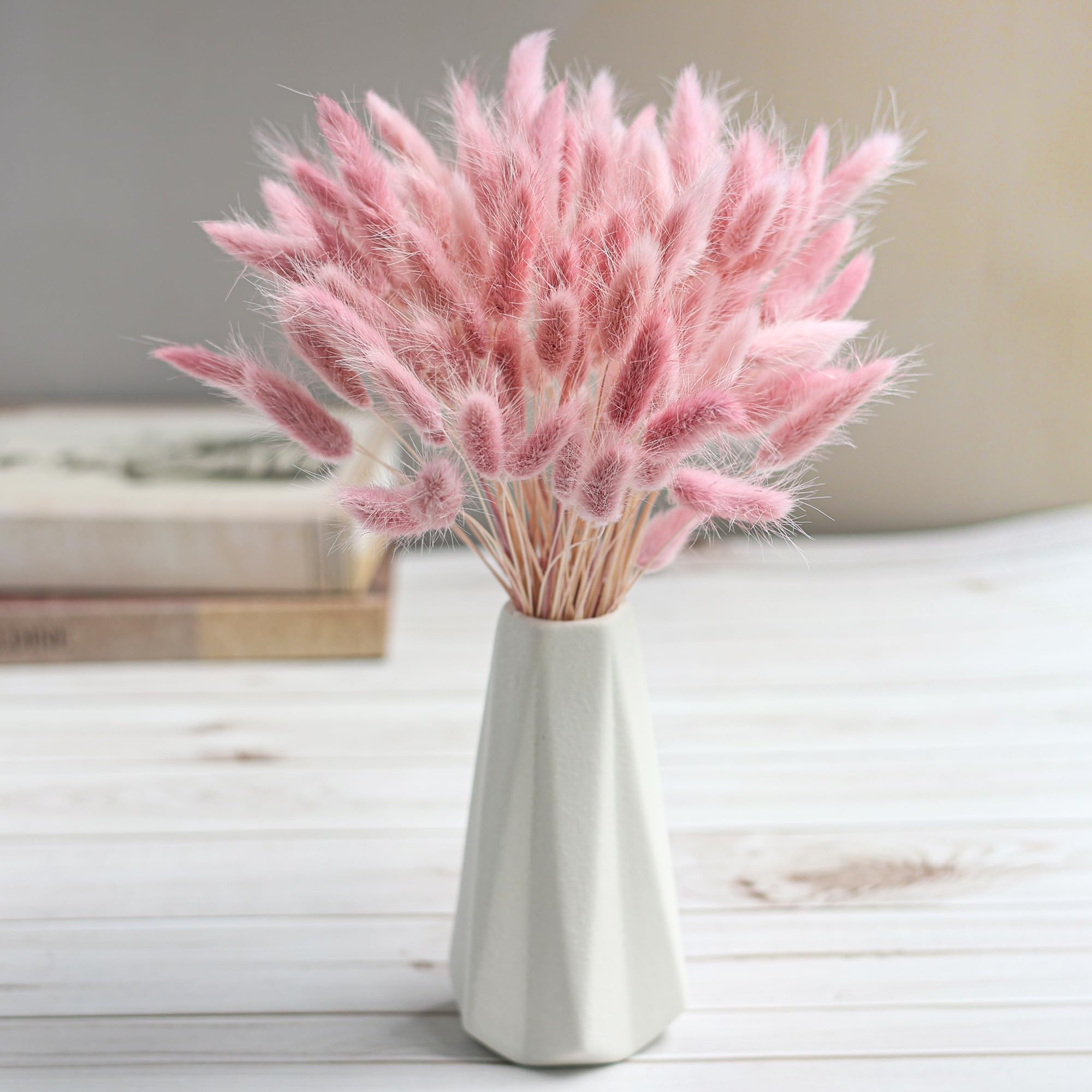 120 stelo rosa pampa essiccata - Pampas Grass Decor recensione e prezzo
