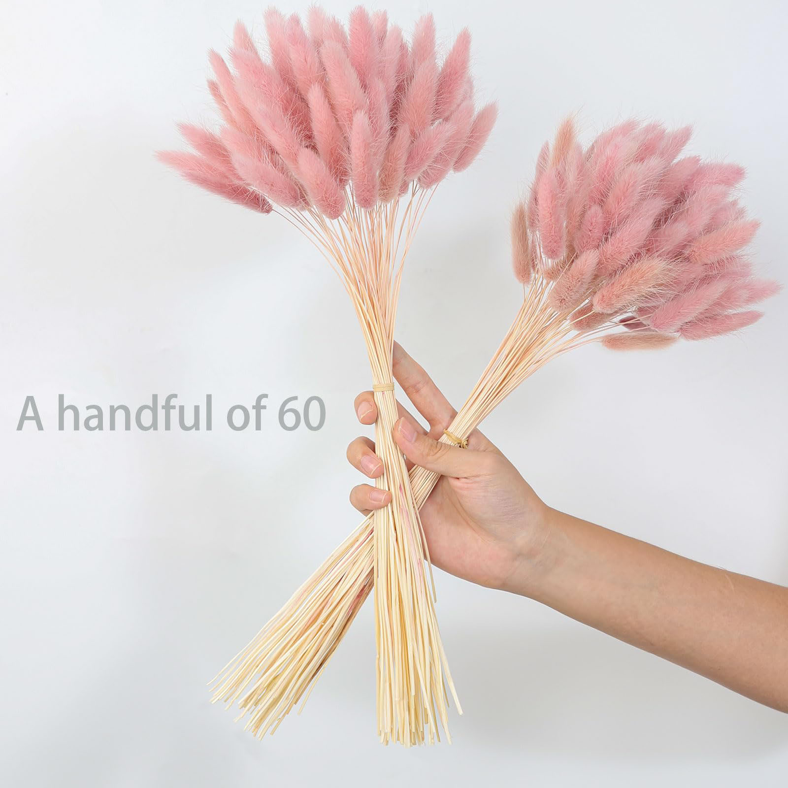 120 stelo rosa pampa essiccata - Pampas Grass Decor recensione e prezzo