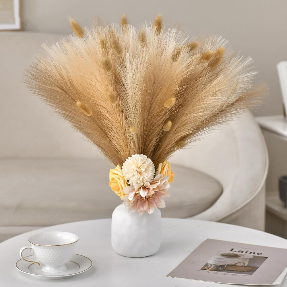 15 Pezzi di Erba della Pampa A - Pampas Grass Decor recensione e prezzo