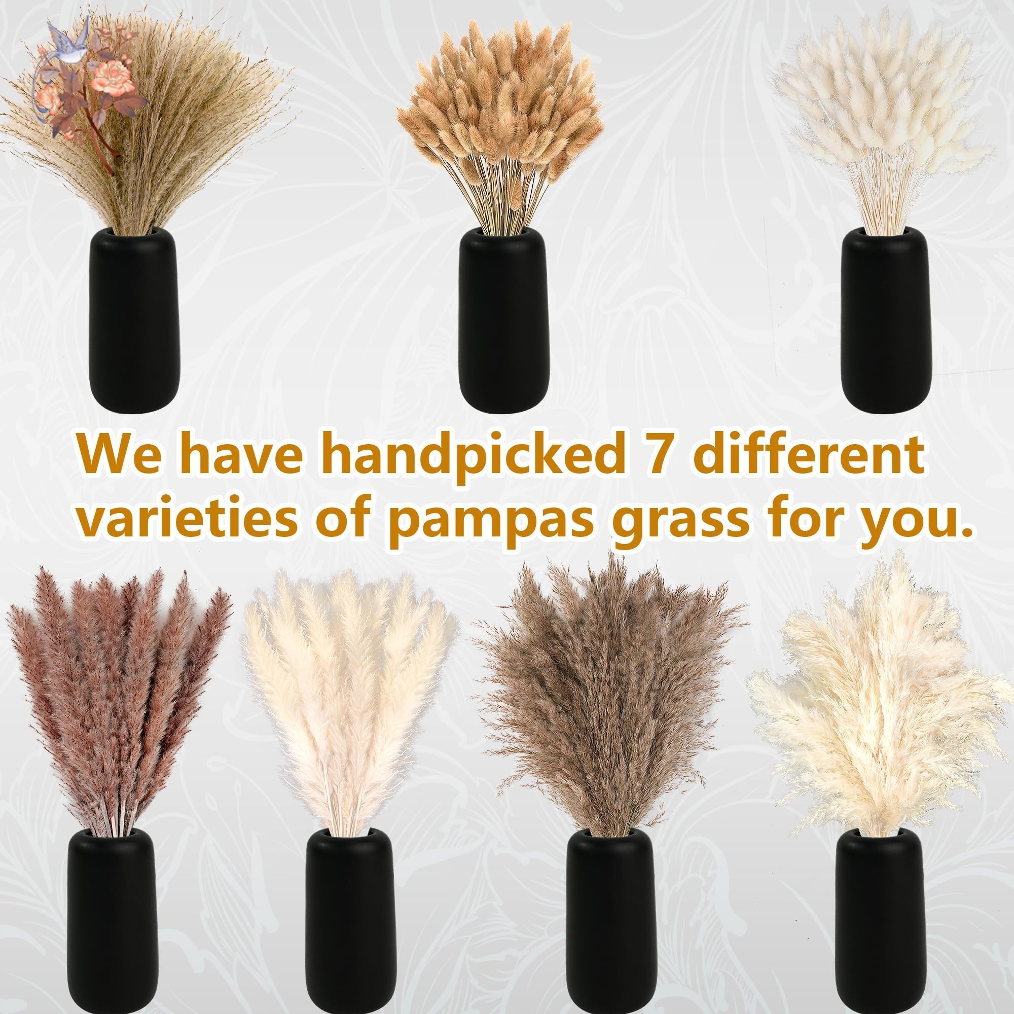 300 pezzi bouquet di fiori sec - Pampas Grass Decor recensione e prezzo