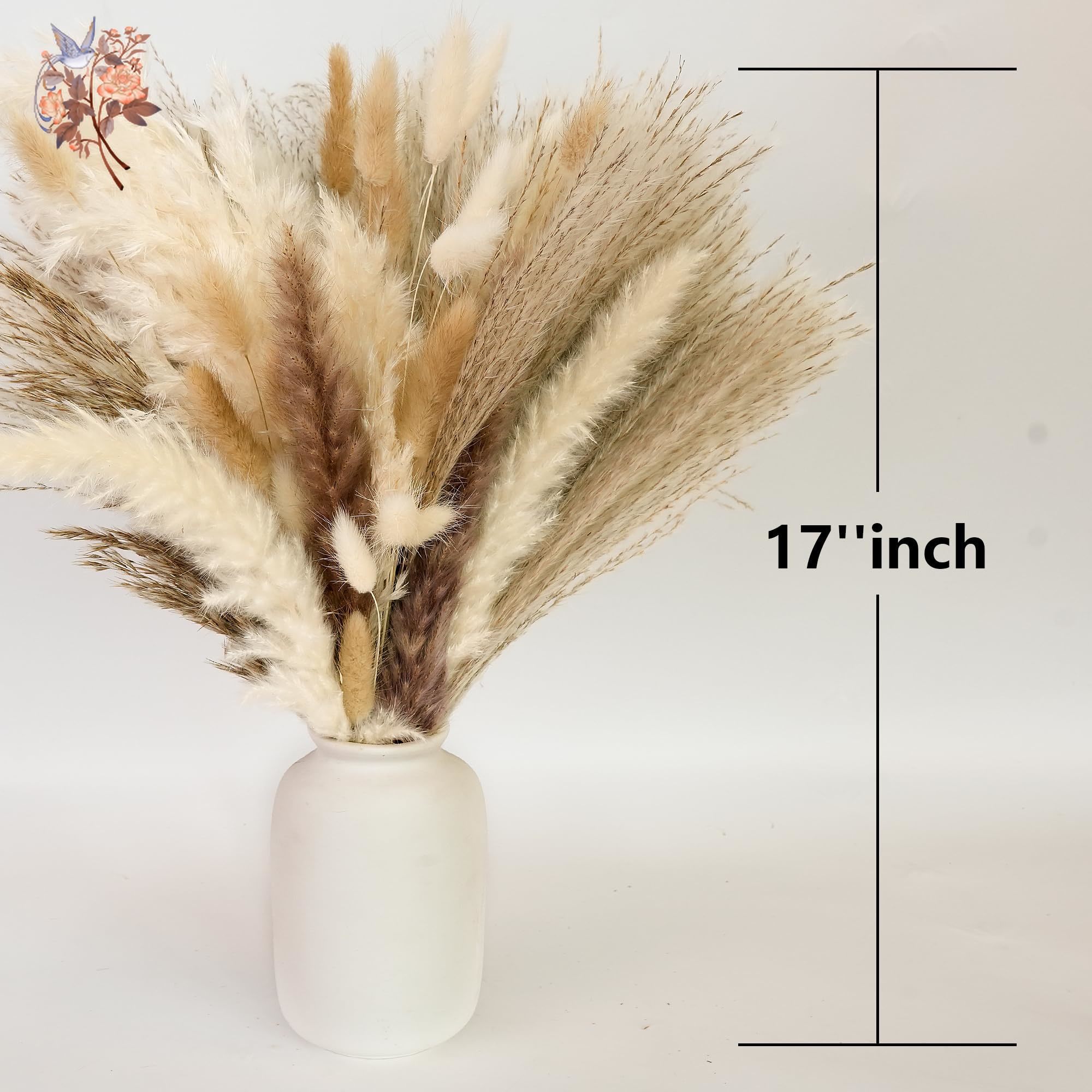300 pezzi bouquet di fiori sec - Pampas Grass Decor recensione e prezzo