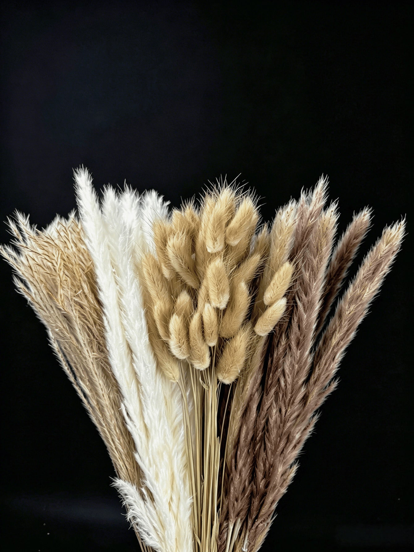 10/20/30 pezzi di erba di pamp - Pampas Grass Decor recensione e prezzo
