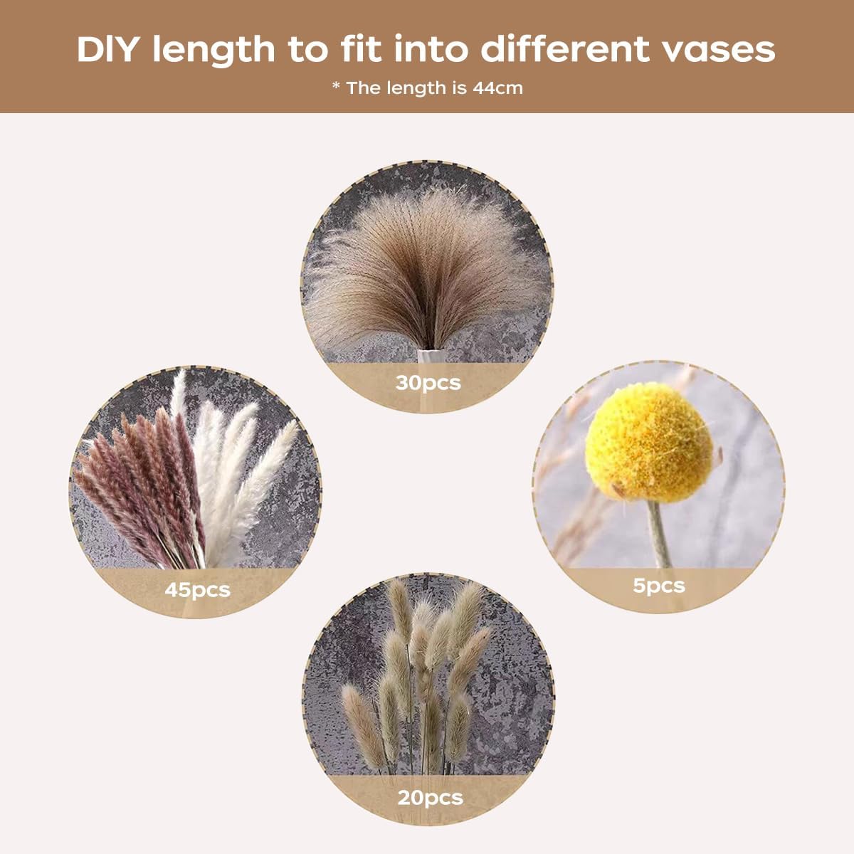 Bouquet di Erba della Pampa Es - Pampas Grass Decor recensione e prezzo