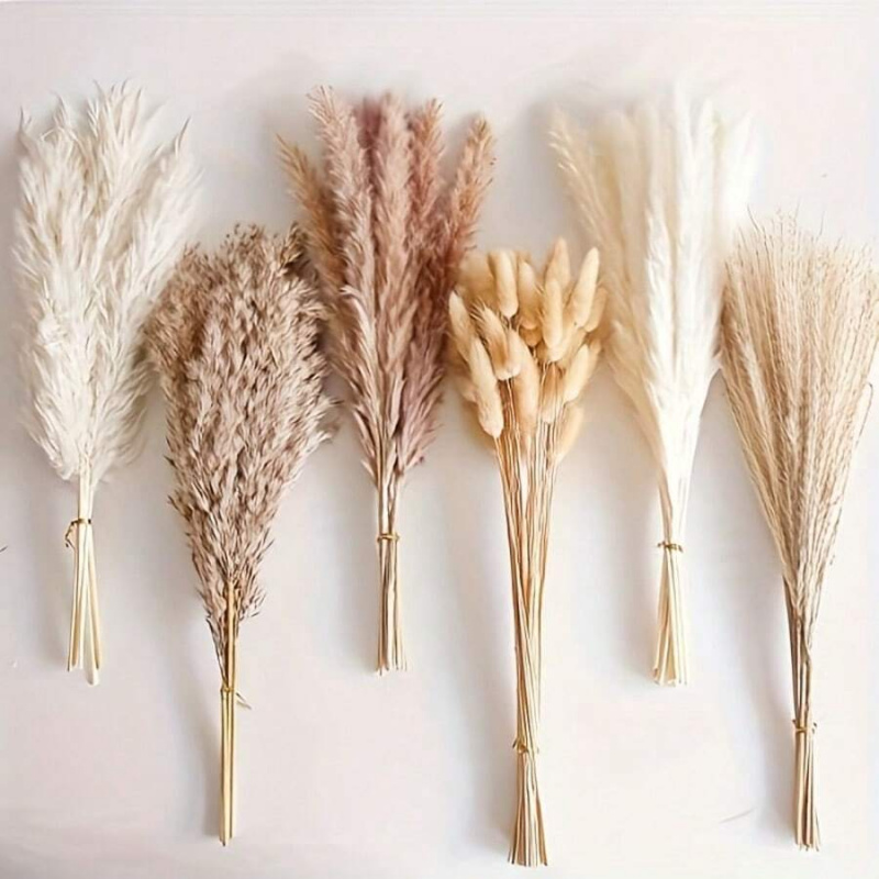 Bouquet di erba della pampa es - Pampas Grass Decor recensione e prezzo