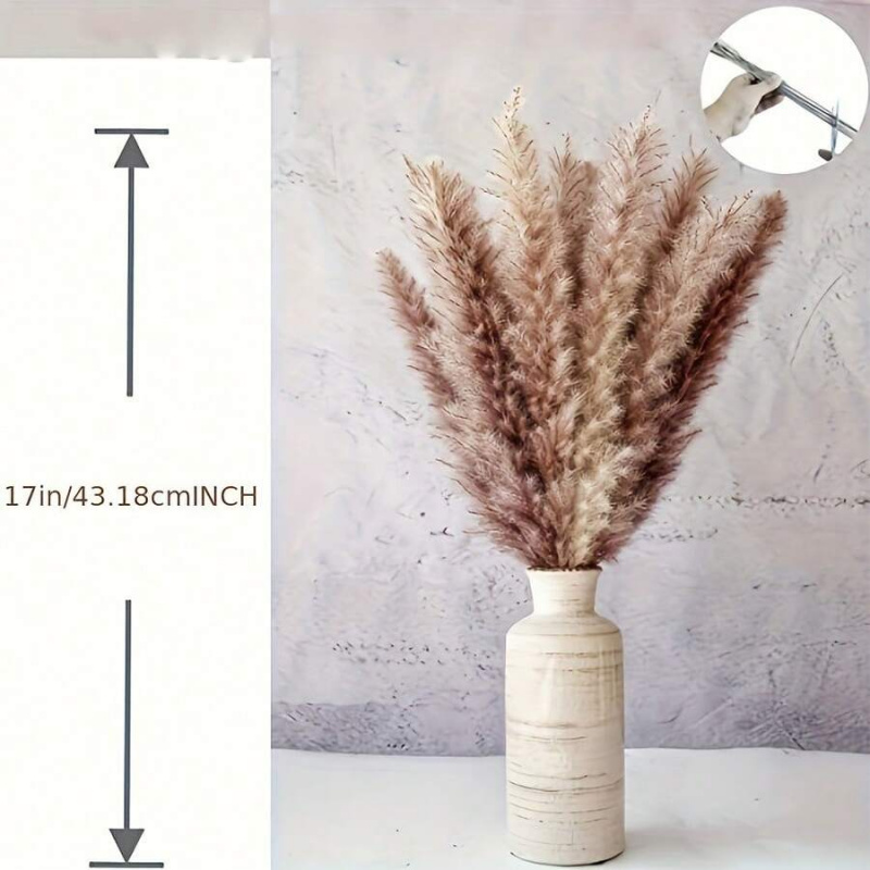 Bouquet di erba della pampa es - Pampas Grass Decor recensione e prezzo