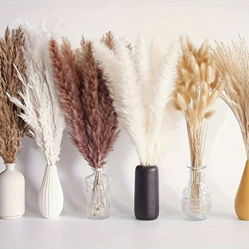Bouquet di erba della pampa es - Pampas Grass Decor recensione e prezzo