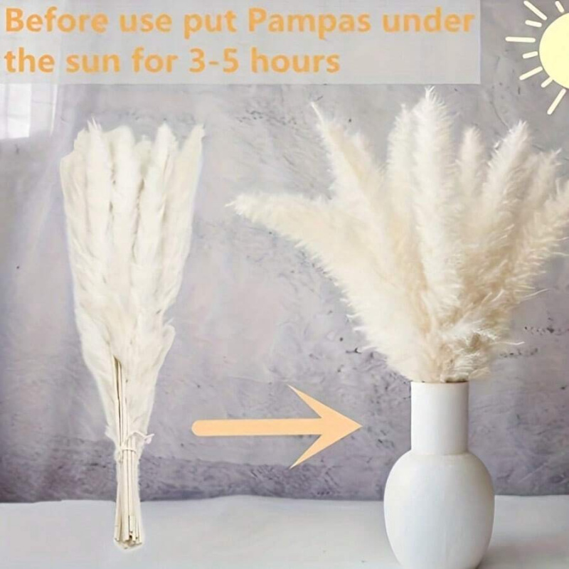 Bouquet di erba della pampa es - Pampas Grass Decor recensione e prezzo