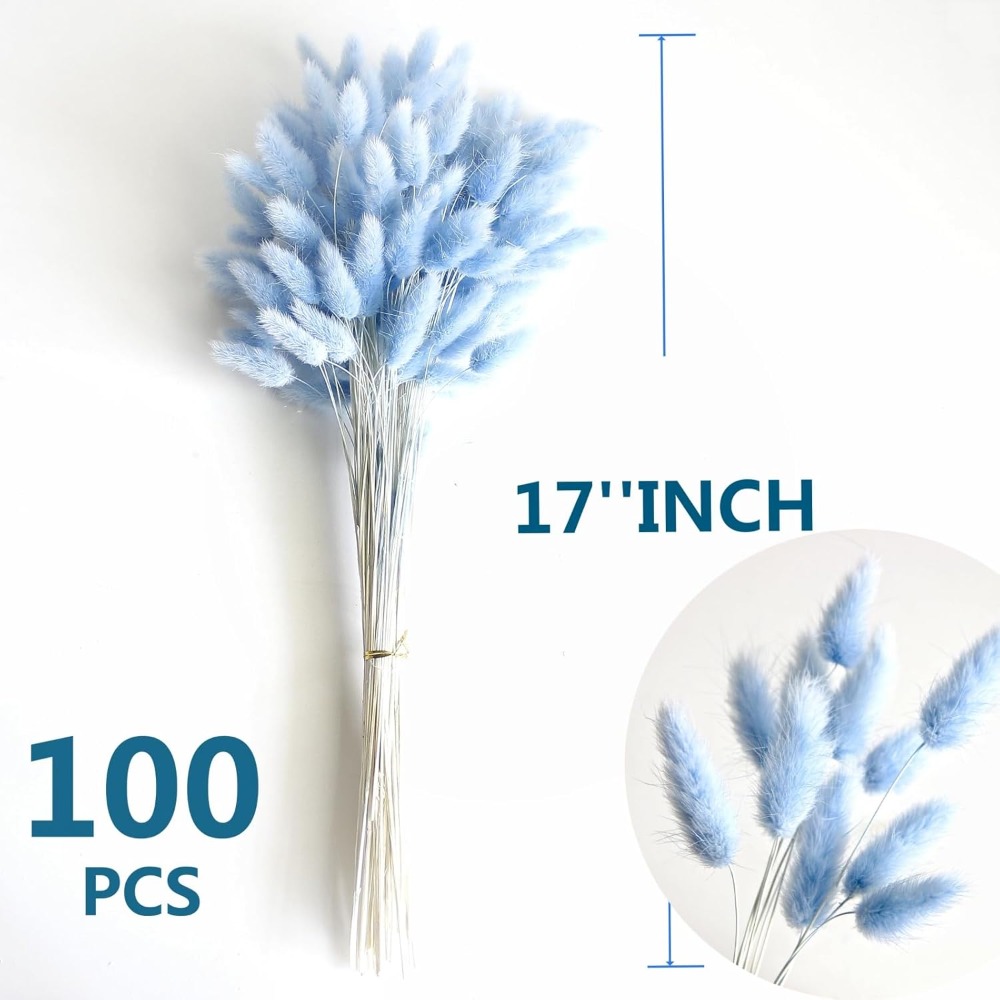 100 pezzi blu coda di lepre er - Pampas Grass Decor recensione e prezzo