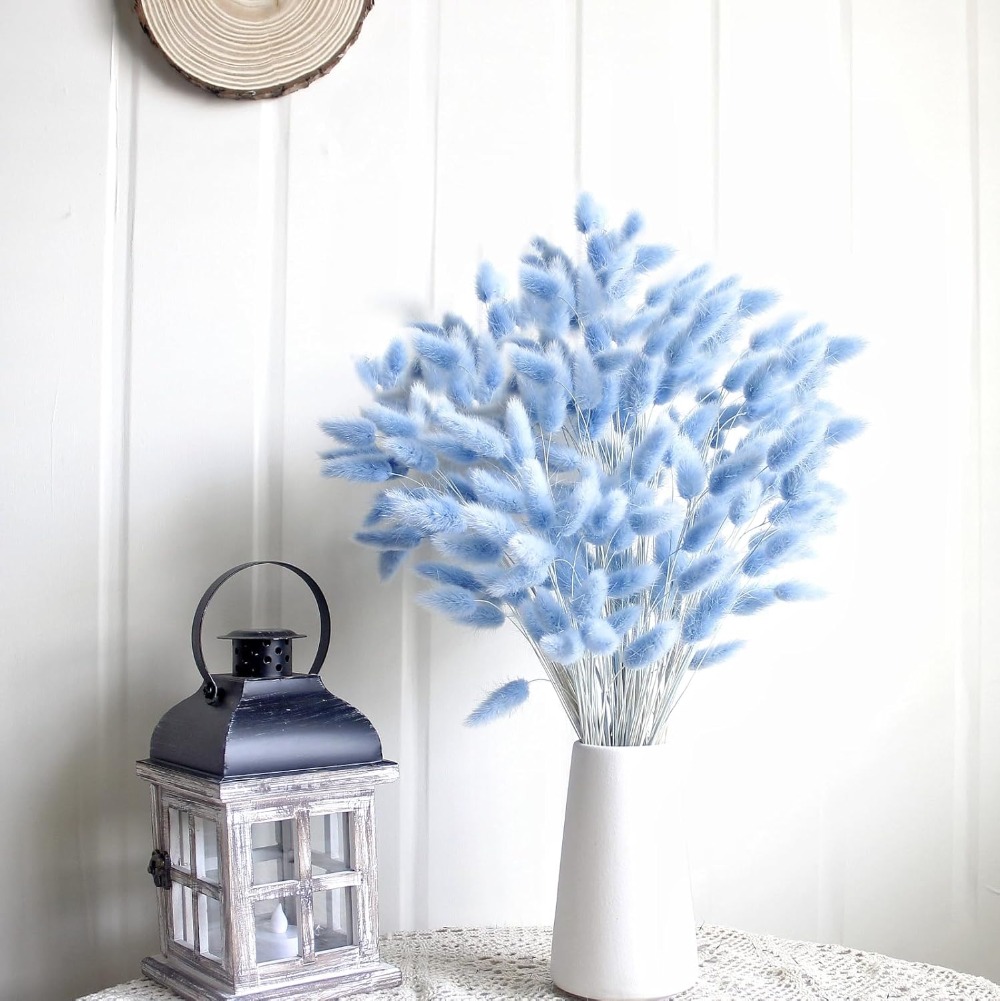 100 pezzi blu coda di lepre er - Pampas Grass Decor recensione e prezzo