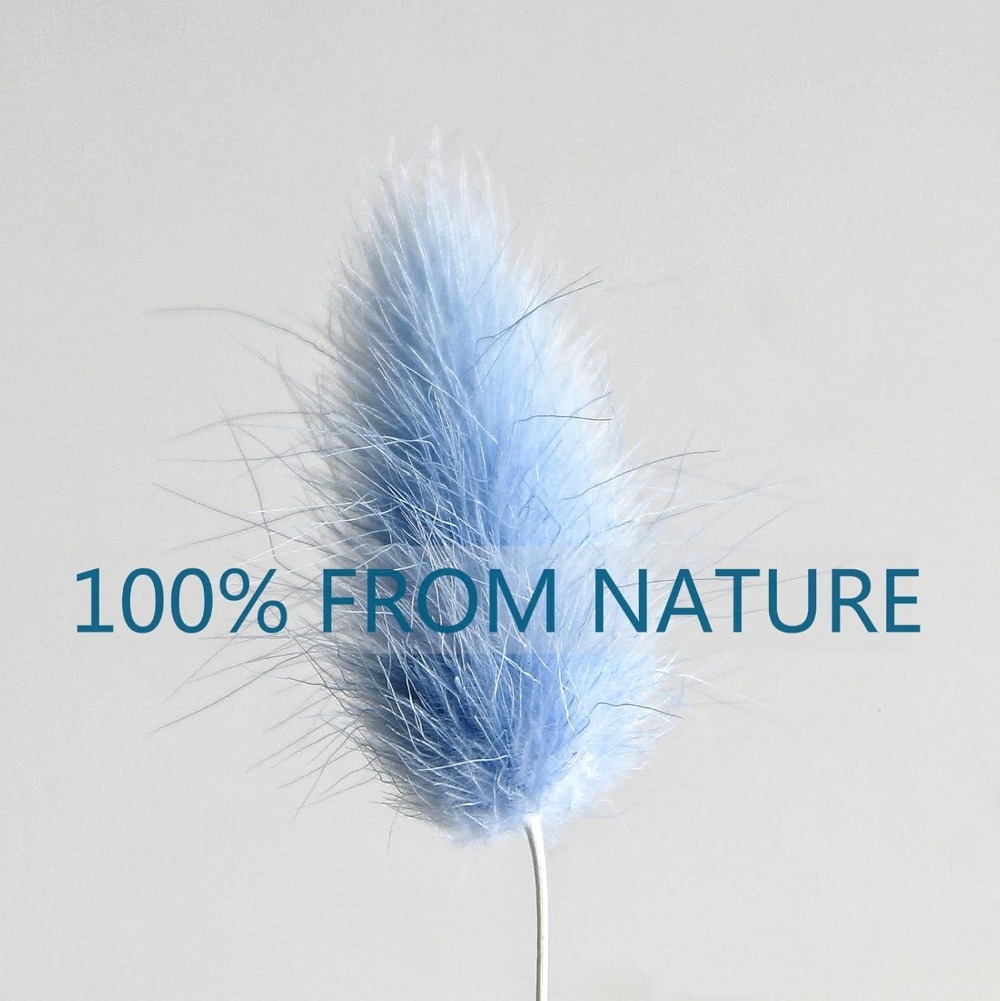 100 pezzi blu coda di lepre er - Pampas Grass Decor recensione e prezzo