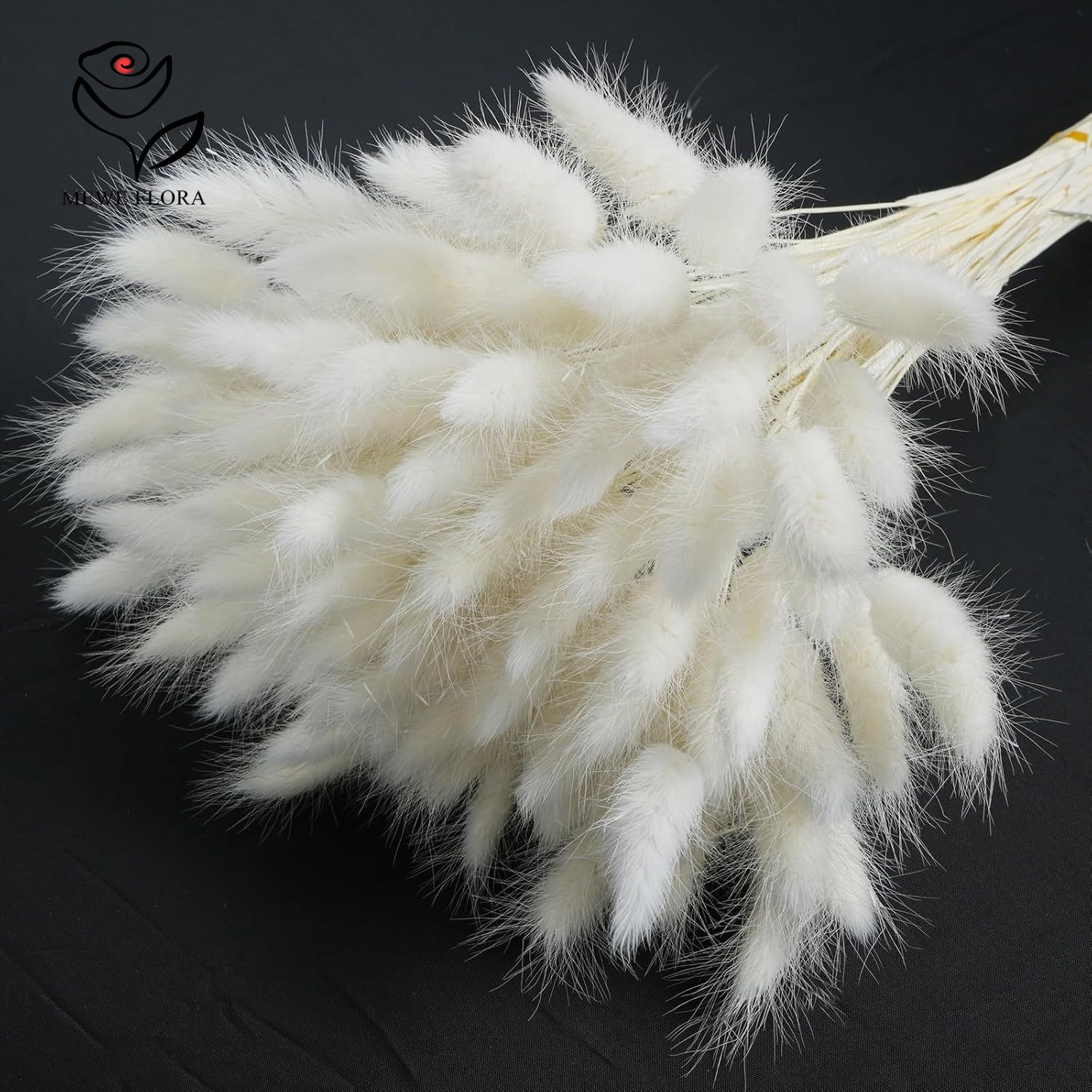 150 PZ Bianco Naturale Soffici - Pampas Grass Decor recensione e prezzo