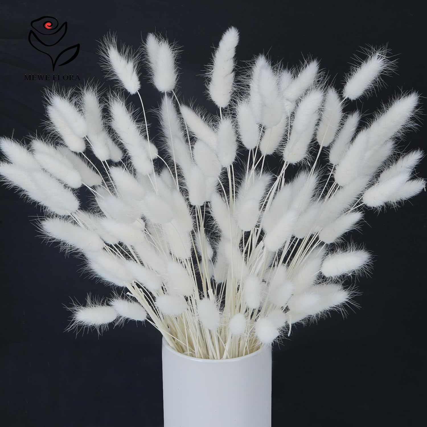 150 PZ Bianco Naturale Soffici - Pampas Grass Decor recensione e prezzo