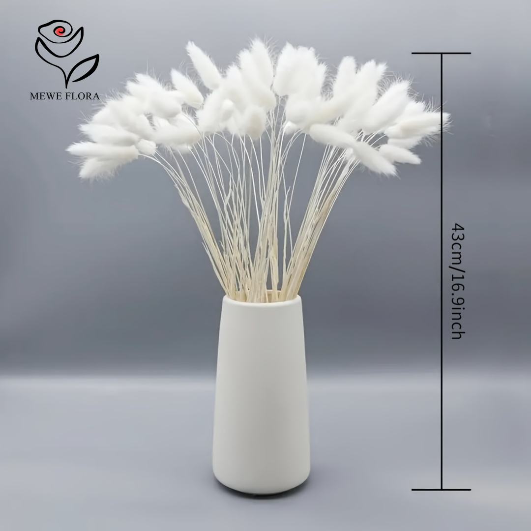150 PZ Bianco Naturale Soffici - Pampas Grass Decor recensione e prezzo